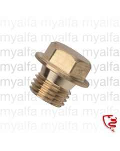 Entlüfterschraube Kühlwasser  Ansaugbrücke/Thermostat       