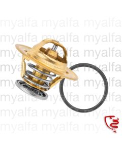 Bild Thermostat 1300-2000 zum Einlegen