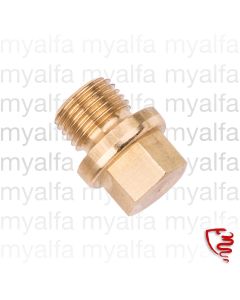 RADIATOR DRAIN SCREW                                        