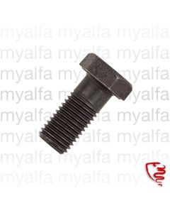 SCREW FLYWHEEL 6 HOLE
