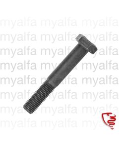 Sechskantschraube hochfest für Hardyscheibe