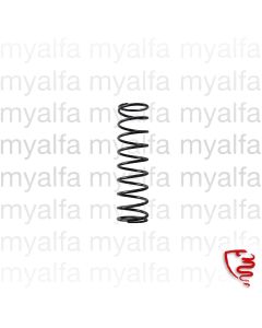 Fahrwerksfeder hinten         (750/101) Spider/Sprint       