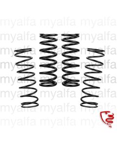 Tieferlegungssatz (750/101) Spider und Sprint (ohne TÜV) 