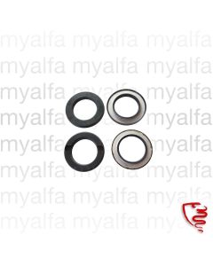 Satz Gummiringe Feder         (750/101) vorne               