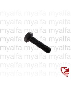 Schrauben für Fangbänder hinten Giulietta/Giulia (750/101)  