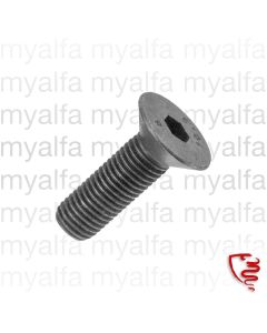 Schraube Anschlaggummi        Hinterachse oben - 750/101    