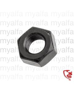 NUT SPRING PAN SCREW