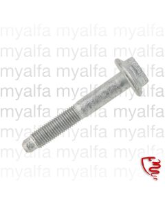 Sechskantschraube am Federbeinunten diverse Modelle         