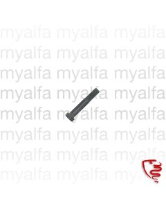 Schraube Schwingarmgelenk außen