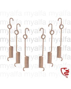 Satz Federn (6 Stk.) für Bremsbacken vorne - 101 - 3-Backenbremse