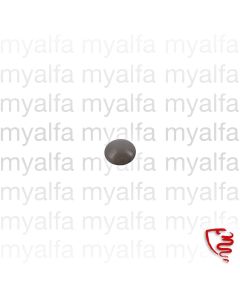 CAP WIPER ARM (SET) GRAY