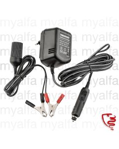 Batterieerhaltungsladegerät